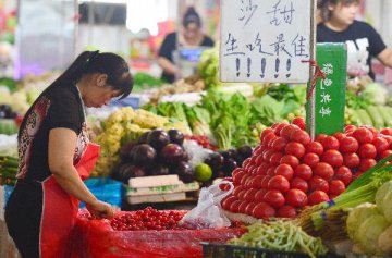 Chinas August CPI forecast at about 1.7 pct