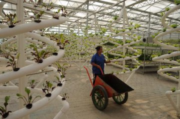 China eyes intl influence in agricultural innovation