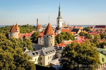 Estonia welcomes Belt and Road Initiative: investment adviser