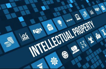 China achieves remarkable success in IPR protection: official