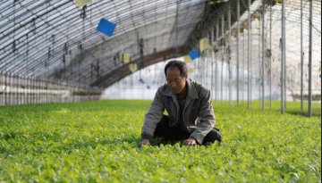 China approves 21 national modern agricultural industrial parks