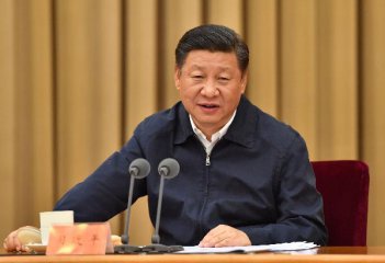 ​Xi stresses rural vitalization strategy
