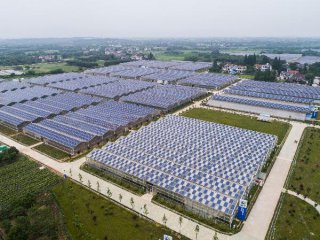 PV exports may rise as EU curbs end