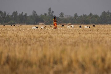 ​India approves "agriculture export policy" to double farmers income