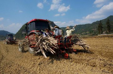 Agriculture sector mechanization rate exceeds 66 pct in China