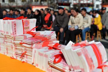 Chinas resident income rises 6.5 pct in 2018（updated）