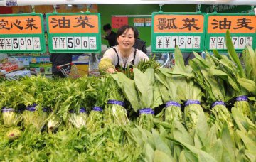 China to keep consumer inflation target at around 3 pct in 2019