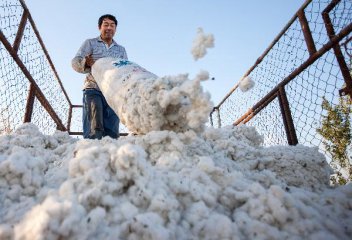 China plans to introduce qualified overseas traders for cotton futures