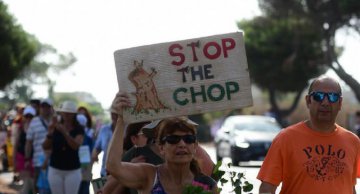 Hundreds march against controversial road upgrade plan in Malta