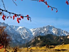 China bond market calendar – Oct. 27
