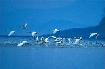 Sateri and Conservation International Collaborate to Restore Health  and Biodiversity of China’s Largest Freshwater Lake
