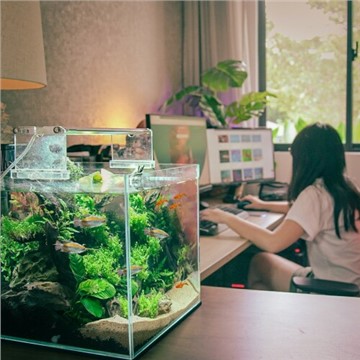 FishyHub Singapore Blazes the Trail in Aquarium E-Commerce with Newly Launched Social Platform