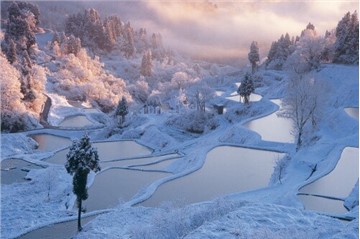 Discover Niigata, the "Snow Country" of Japan