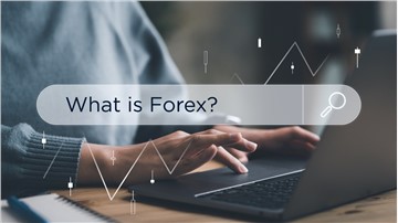 Exploring the Forex market: the basics