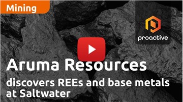 Aruma Resources discovers REEs and base metals at Saltwater