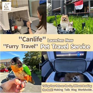 Hong Kongs First Internationally ISO-Certified Pet Relocation Company "Canlife" Launches New "Furry Travel" Pet Travel Service
