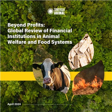 New Report from Sinergia Animal Reveals Financial Institution’s Lag in Animal Welfare and Food System Sustainability Policies