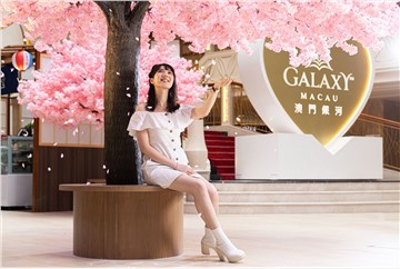 Galaxy Macau’s Sakura Cultural Festival Kicked off in Splendor