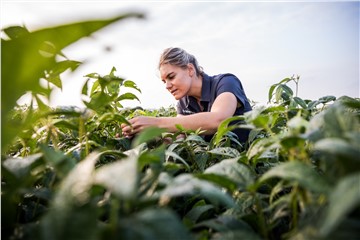 Syngenta extends leadership in fungicides with ADEPIDYN® technology